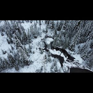 Meet your Posher, Carly